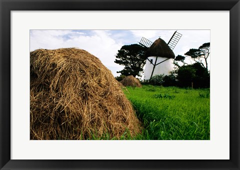 Framed Traditional windmill in a field, Tacumshane Windmill, Ireland Print