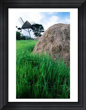 Framed Traditional windmill in a field, Tacumshane Windmill, Tacumshane, Ireland Print
