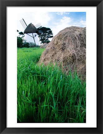 Framed Traditional windmill in a field, Tacumshane Windmill, Tacumshane, Ireland Print