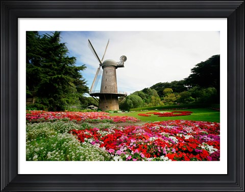 Framed Low angle view of a windmill in a park, Golden Gate Park, San Francisco, California, USA Print