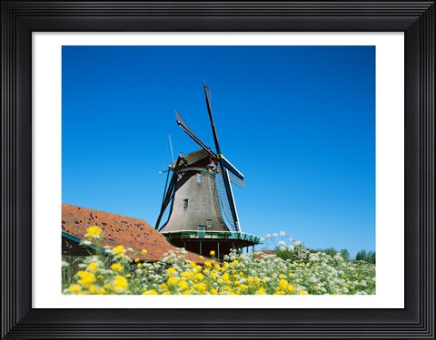 Framed Windmill, Zaanse Schans, Netherlands In Flowers Print