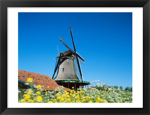 Framed Windmill, Zaanse Schans, Netherlands In Flowers Print