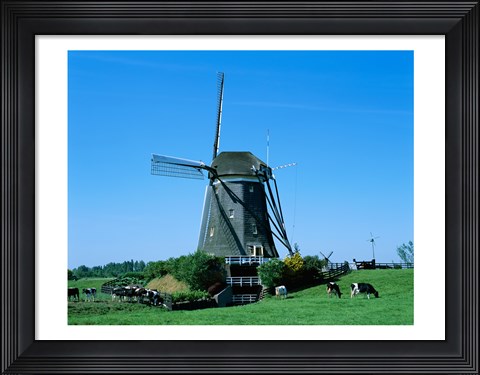 Framed Windmill and Cows, Wilsveen, Netherlands Photograph Print