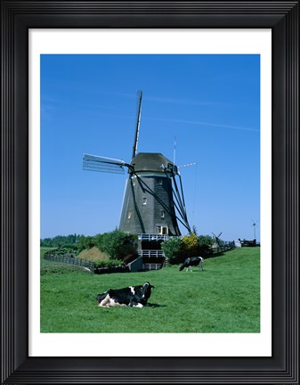Framed Windmill and Cows, Wilsveen, Netherlands Print