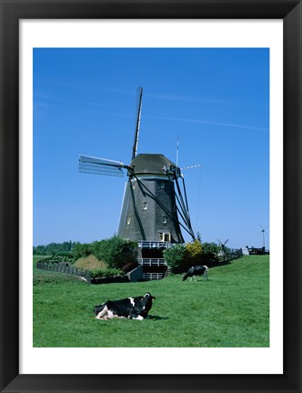 Framed Windmill and Cows, Wilsveen, Netherlands Print