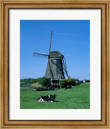 Framed Windmill and Cows, Wilsveen, Netherlands Print