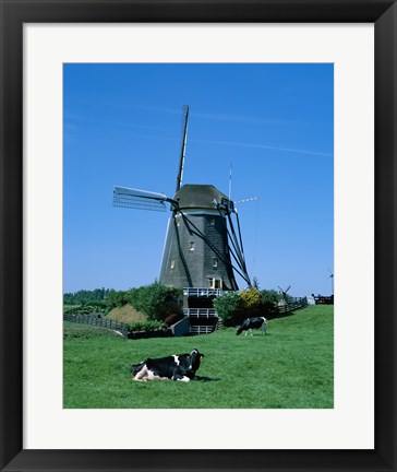 Framed Windmill and Cows, Wilsveen, Netherlands Print