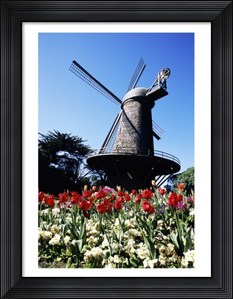 Framed Low angle view of a traditional windmill, Queen Wilhelmina Garden, Golden Gate Park, San Francisco, California, USA Print