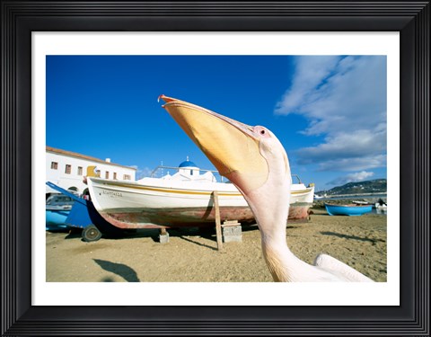 Framed Pelican and Fishing Boats on Beach, Mykonos, Cyclades Islands, Greece Print