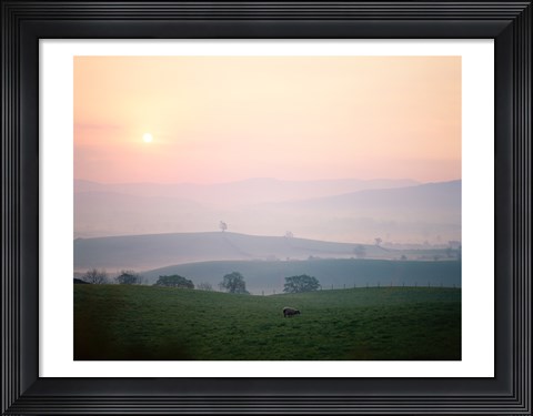Framed Sunrise near Hawes, Yorkshire Dales National Park, North Yorkshire, England Print
