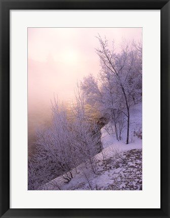 Framed River covered with fog at sunrise Print