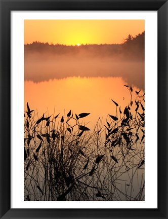 Framed Sunrise over a lake Print