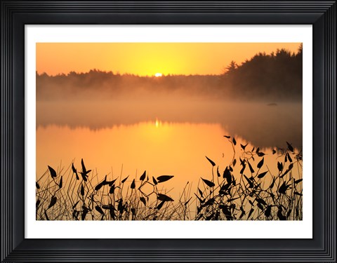 Framed Sunrise over a lake Print