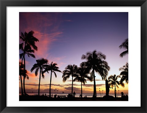 Framed Silhouette of palm trees on the beach, Waikiki Beach, Honolulu, Oahu, Hawaii, USA Print