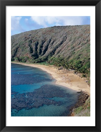 Framed High angle view of a bay, Hanauma Bay, Oahu, Hawaii, USA Vertical Print