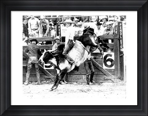 Framed Side profile of a cowboy riding a bull at a rodeo Print