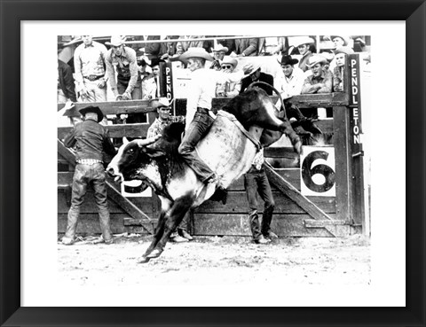 Framed Side profile of a cowboy riding a bull at a rodeo Print