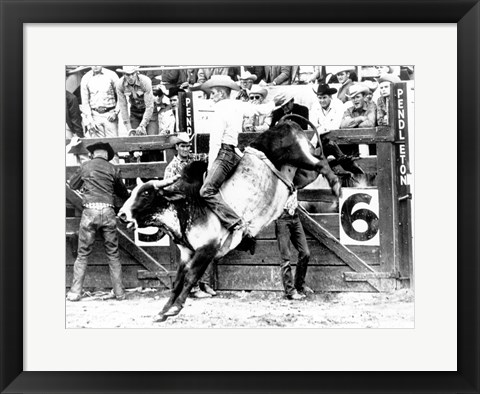 Framed Side profile of a cowboy riding a bull at a rodeo Print