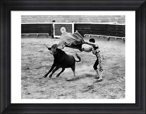 Framed Matador fighting with a bull Print