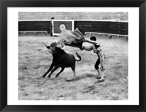 Framed Matador fighting with a bull Print