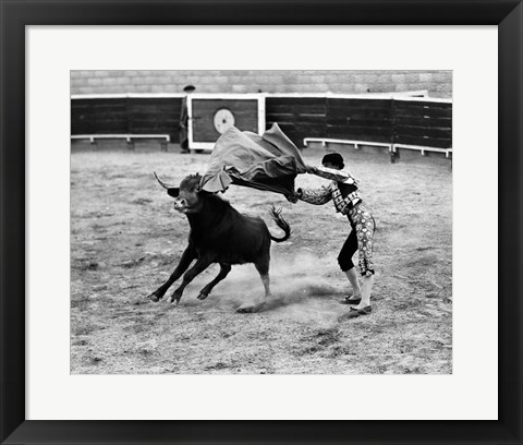 Framed Matador fighting with a bull Print