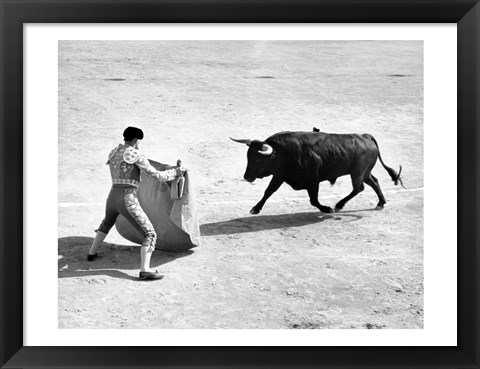 Framed High angle view of a bullfighter with a bull in a bullring, Madrid, Spain Print