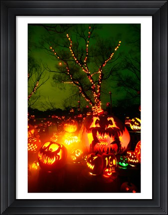 Framed Jack o&#39; lanterns lit up at night, Roger Williams Park Zoo, Rhode Island Print