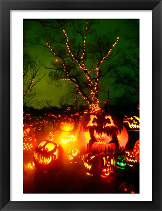 Framed Jack o&#39; lanterns lit up at night, Roger Williams Park Zoo, Rhode Island Print
