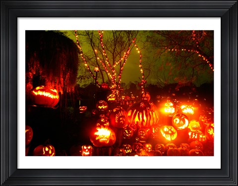 Framed Roger Williams Park Zoo, Rhode Island Print
