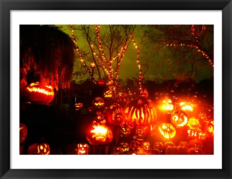 Framed Roger Williams Park Zoo, Rhode Island Print