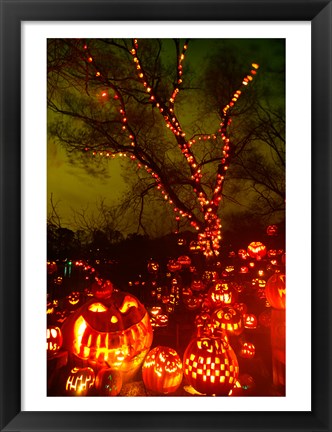 Framed Jack o&#39; lanterns lit up at night, Roger Williams Park Zoo, Providence, Rhode Island, USA Print
