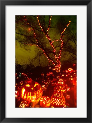 Framed Jack o&#39; lanterns lit up at night, Roger Williams Park Zoo, Providence, Rhode Island, USA Print