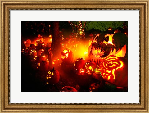 Framed Jack o&#39; lanterns lit up Roger Williams Park Zoo, RI Print