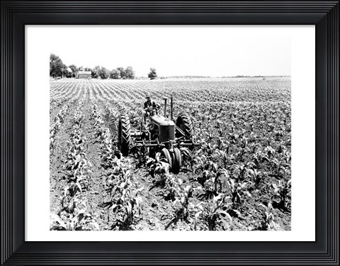 Framed Farmer Driving Tractor in Field Print