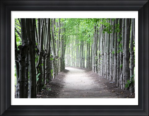 Framed Limbs Print