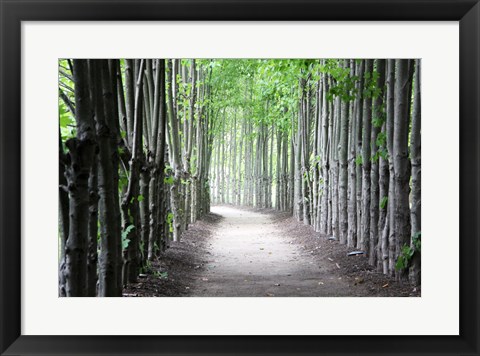 Framed Limbs Print