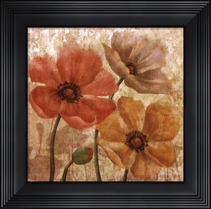 Framed Poppy Allure I Print