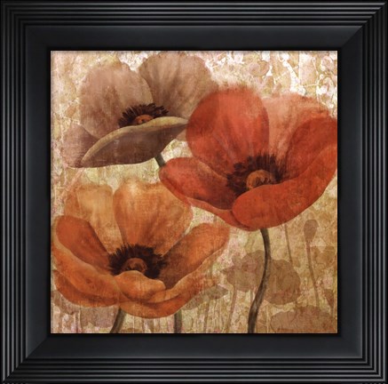 Framed Poppy Allure II Print