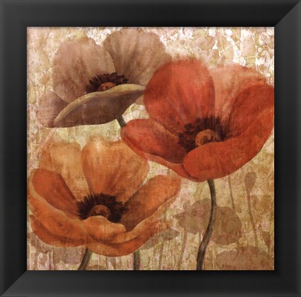 Framed Poppy Allure II Print