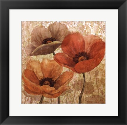 Framed Poppy Allure II Print