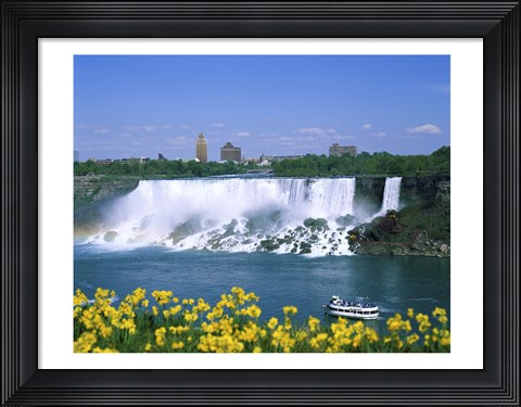 Framed Flowers in front of a waterfall, American Falls, Niagara Falls, New York, USA Print