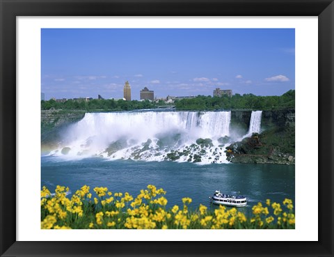 Framed Flowers in front of a waterfall, American Falls, Niagara Falls, New York, USA Print
