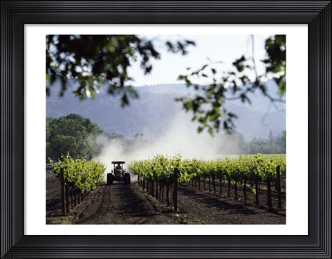 Framed Tractor in a field, Napa Valley, California, USA Print