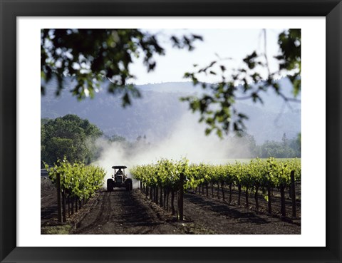 Framed Tractor in a field, Napa Valley, California, USA Print