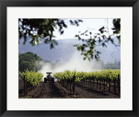 Framed Tractor in a field, Napa Valley, California, USA Print