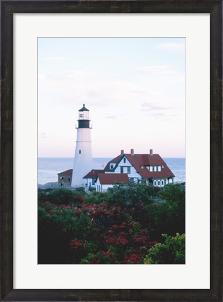 Framed Portland Head Lighthouse Cape And Field Elizabeth Maine USA Print