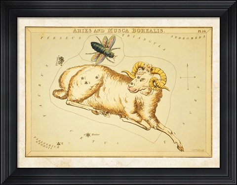 Framed Aires and Musca Borealis Constellation Print