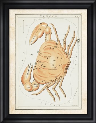 Framed Cancer Zodiac Sign Print