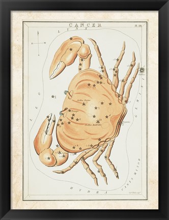 Framed Cancer Zodiac Sign Print