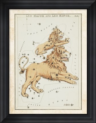 Framed Leo Major and Leo Minor Constellation Print